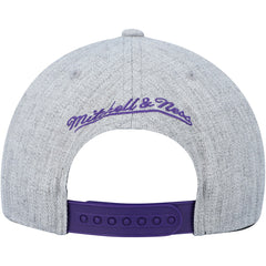 Heather Gray Toronto Raptors Hardwood Classics 2.0 Snapback Hat | NBA
