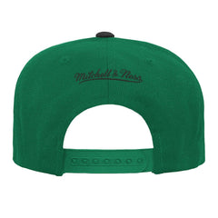 Kelly Green/Black Boston Celtics Youth Two-Tone Snapback Hat | NBA