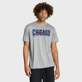 Chicago Cubs Nike Swoosh Legend Dri-FIT T-Shirt - MLB T-shirts