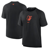 Baltimore Orioles Nike Authentic Collection Pregame Raglan Performance T-Shirt - MLB T-shirts