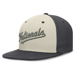 Washington Nationals Nike Dri-FIT True Fitted Hat - MLB Hats