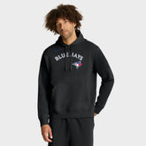 Toronto Blue Jays Nike Dri-Fit Club Hoodie - MLB Hoodies