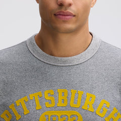 Pittsburgh Steelers IconicFleece Short Sleeve Sweatshirt | NFL New