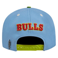 Light Blue/Green Chicago Bulls Pro Standard Retro Program 2-Tone Snapback Hat | NBA