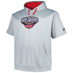 Silver New Orleans Pelicans Big & Tall Logo Pullover Hoodie | NBA