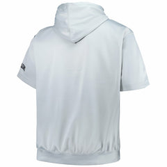 Silver New Orleans Pelicans Big & Tall Logo Pullover Hoodie | NBA