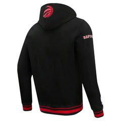Black Toronto Raptors Pro Standard Script Tail Pullover Hoodie | NBA