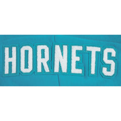 Teal Charlotte Hornets Pro Standard Women's 2023/24 City Edition Cropped Pullover Hoodie | NBA