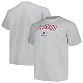 Colorado Avalanche Profile Big & Tall Arch Over Logo T-Shirt - NHL T-shirts