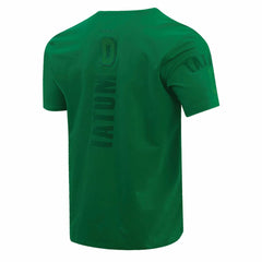 Kelly Green Jayson Tatum Boston Celtics Pro Standard Triple Tonal Player T-Shirt | NBA
