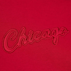 Red Chicago Bulls Hardwood Classics Tonal Pullover Hoodie sale | NBA