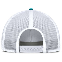 Miami Dolphins Flawless Stripe Adjustable Hat | NFL Online