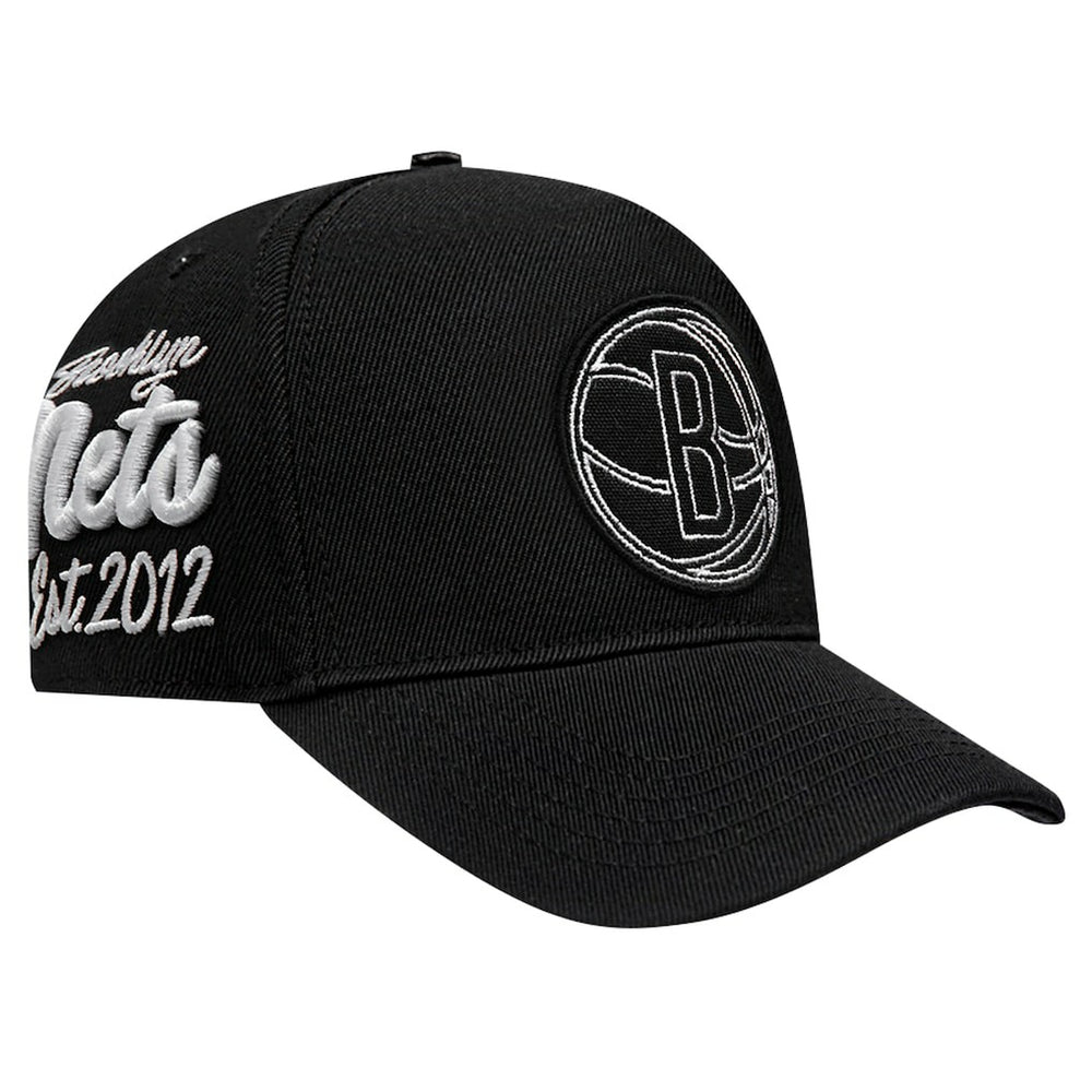 Black Brooklyn Nets Pro Standard Paint the City Pinch Front Snapback Hat | NBA