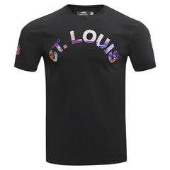 St. Louis Cardinals Pro Standard Cityscape T-Shirt - MLB T-shirts