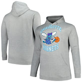 Heather Gray Charlotte Hornets Hardwood Classics Big & Tall Pullover Hoodie | NBA