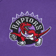 Red/Purple Toronto Raptors Head Coach Pullover Hoodie | NBA