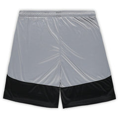 Pittsburgh Steelers Big & Tall Team Logo Shorts | NFL On sale