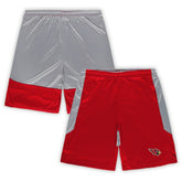 Arizona Cardinals Big & Tall Team Logo Shorts | NFL Discount