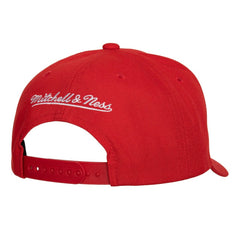 New Jersey Devils Mitchell & Ness Team Ground Pro Adjustable Hat - NHL Jerseys