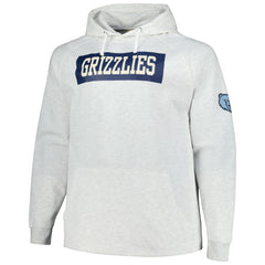 Ash Memphis Grizzlies Big & Tall Raglan Tri-Blend Pullover Hoodie | NBA