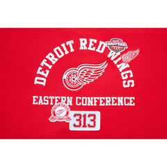 Detroit Red Wings Pro Standard Women's Area Code Cropped Pullover Sweatshirt - NHL Sweatshirts