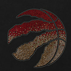 Black Toronto Raptors Pro Standard Women's Jewels Boxy Cropped T-Shirt | NBA