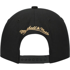 Florida Panthers Mitchell & Ness Core Team Script 2.0 Snapback Hat - NHL Hats
