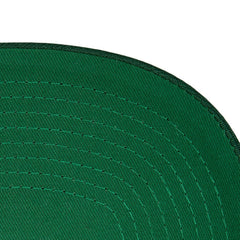 Minnesota Wild Mitchell & Ness Core Team Ground Pro Adjustable Hat - NHL Hats