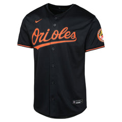 Baltimore Orioles Nike Youth Alternate Limited Jersey - MLB Jerseys