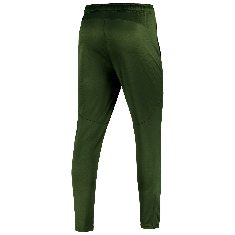 Manchester City 2024/25 dryCELL Training Pants Discount - Sky Forest Green