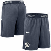 Los Angeles Dodgers Nike Authentic Collection City Connect Performance Knit Shorts - MLB Shorts