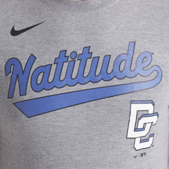 Washington Nationals Nike City Connect Script Tri-Blend T-Shirt - MLB T-shirts