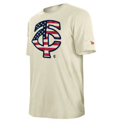 Minnesota Twins New Era Americana Flag Fill T-Shirt - MLB T-shirts