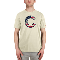 Chicago Cubs New Era Americana Flag Fill T-Shirt - MLB T-shirts