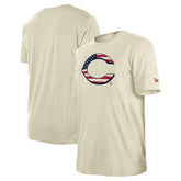 Cincinnati Reds New Era Americana Flag Fill T-Shirt - MLB T-shirts