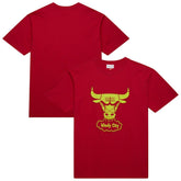 Red Chicago Bulls Hardwood Classics Neon Nights Premium T-Shirt sale | NBA