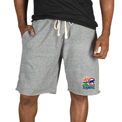 Chicago Cubs Concepts Sport Mainstream Tri-Blend Shorts - MLB Shorts