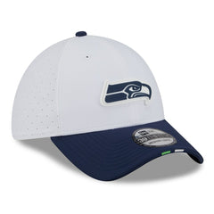 Seattle Seahawks 2025 NFL Training Camp 39THIRTY Flex Hat | NFL New