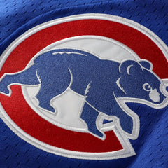 Ryne Sandberg Chicago Cubs Mitchell & Ness Cooperstown Collection 1997 Mesh Batting Practice Button-Up Jersey - MLB Jerseys