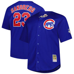 Ryne Sandberg Chicago Cubs Mitchell & Ness Big & Tall Cooperstown Mesh Batting Practice Jersey - MLB Jerseys