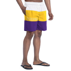 Minnesota Vikings G-III Sports by Carl Banks Sunrise Volley Swim Shorts | NFL New