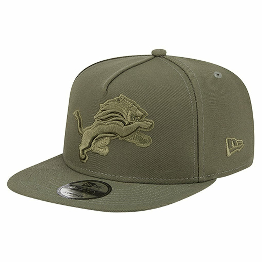 Detroit Lions Youth Color Pack A-Frame 9FIFTY Snapback Hat | NFL Discount