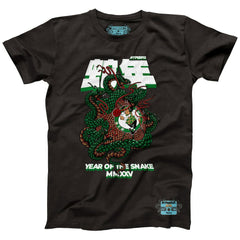 Heather Black Boston Celtics NBALab x Hyperfly Unisex Year of the Snake Lunar New Year Collection T-Shirt | NBA