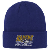 Baltimore Ravens Outerstuff Youth Team Gradient Cuffed Knit Hat | NFL Discount