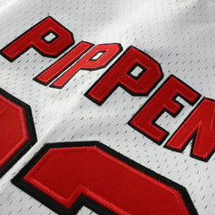 White Scottie Pippen Chicago Bulls Player Mesh V-Neck Shirt sale | NBA