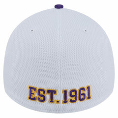 Minnesota Vikings Dashmark Rays 39THIRTY Flex Hat | NFL Online