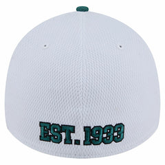 Philadelphia Eagles Dashmark Rays 39THIRTY Flex Hat | NFL Discount