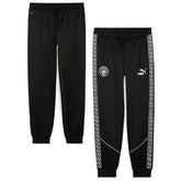 Manchester City 2025/26 King Anthem dryCell Pants
