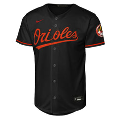 Baltimore Orioles Nike Youth Alternate Stadium Jersey - MLB Jerseys