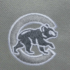 Chicago Cubs Mitchell & Ness Thunderstorm Head Coach Pro-Crown Adjustable Hat - MLB Hats